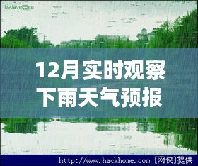 十二月的魔法時(shí)刻，雨中探索自然美景，與內(nèi)心的寧?kù)o共舞的天氣之旅