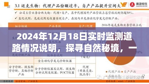 探尋自然秘境的心靈之旅，2024年12月18日實時監(jiān)測道路情況深度解析