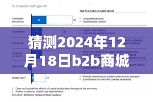 深度評測，預(yù)測與解析2024年12月18日B2B商城實時票據(jù)特性、體驗、競品對比及用戶群體分析