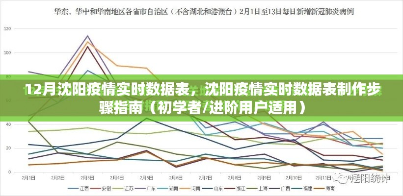 沈陽疫情實時數(shù)據(jù)表制作指南，初學者與進階用戶適用