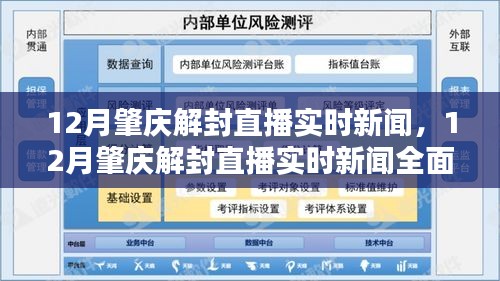 12月肇慶解封直播實(shí)時(shí)新聞，全面解讀與評(píng)測(cè)