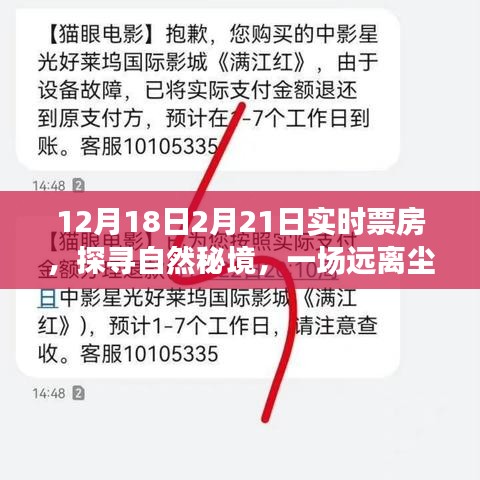 探尋自然秘境的心靈之旅，揭秘實(shí)時(shí)票房熱議背后的故事