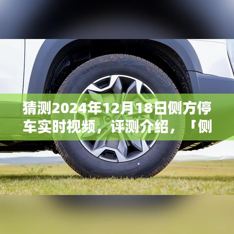 蛾眉曼睩 第3頁