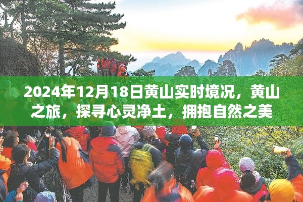 黃山之旅，探尋心靈凈土，擁抱自然之美——2024年12月18日黃山實(shí)時(shí)境況記錄