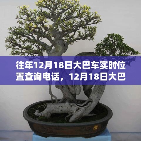 技術(shù)革新與出行變革，追溯大巴車定位查詢熱線的發(fā)展歷程