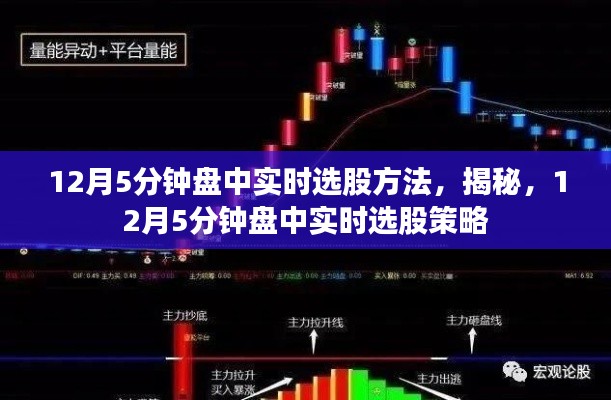 揭秘，12月5分鐘盤中實(shí)時選股策略與方法