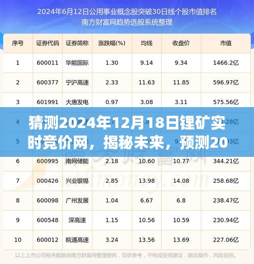 揭秘未來(lái)鋰礦市場(chǎng)，實(shí)時(shí)競(jìng)價(jià)網(wǎng)展望至2024年12月18日