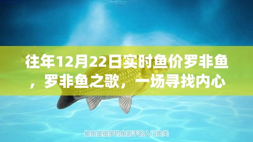 羅非魚之歌，探尋深海魚價與內(nèi)心平靜的旅程