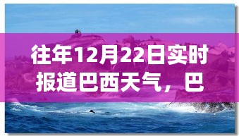 巴西暖陽下的溫馨時光，12月22日天氣紀實
