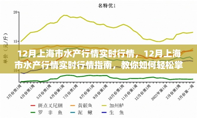 掌握上海水產(chǎn)市場脈搏，12月實時行情指南