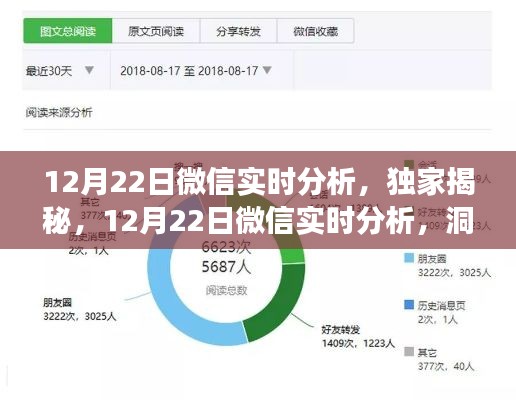 獨(dú)家揭秘，微信實(shí)時(shí)分析洞察社交趨勢(shì)，12月22日數(shù)據(jù)深度解讀