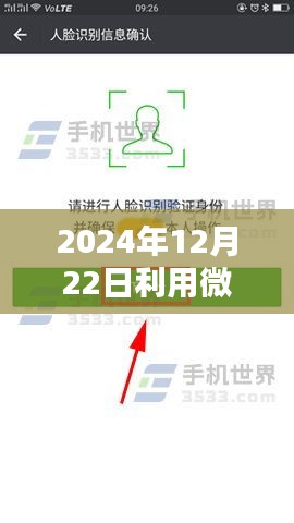 微信實(shí)時(shí)輸入數(shù)據(jù)庫(kù)操作指南，從初學(xué)者到進(jìn)階用戶的全面指南（2024年12月22日更新）