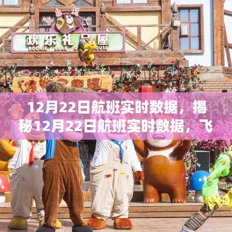 揭秘航班實(shí)時(shí)數(shù)據(jù)，科技視角下的飛行之旅洞察（12月22日）