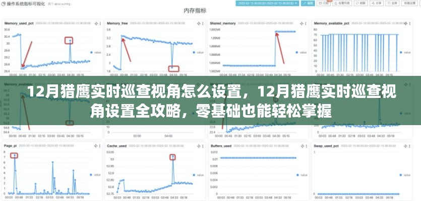 12月獵鷹實(shí)時(shí)巡查視角設(shè)置攻略，零基礎(chǔ)也能輕松掌握