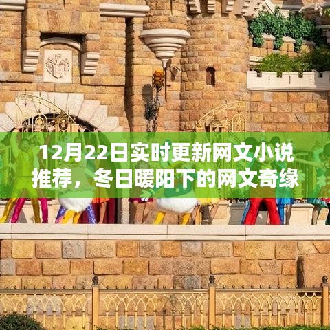 冬日暖陽下的溫馨網(wǎng)文奇緣，實時更新小說推薦