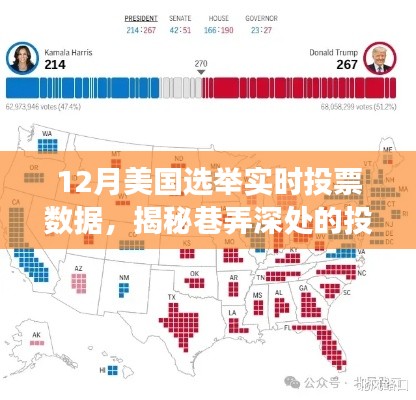 揭秘美國選舉風云，巷弄深處的投票數(shù)據(jù)寶藏親歷之旅