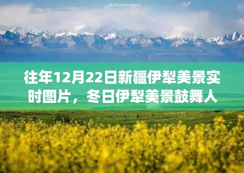 冬日伊犁美景鼓舞人心，學(xué)習(xí)之旅中的自信與成就感實時圖片展示