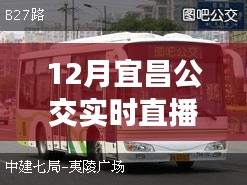 掌握出行信息必備，宜昌公交實時直播電話在線直播服務(wù)啟動