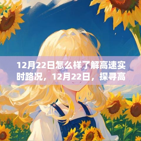 12月22日，探尋高速實(shí)時路況的洞察之旅，掌握實(shí)時路況信息！