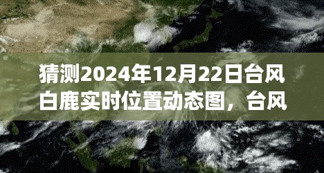 臺風白鹿來襲，冒險之旅中的自信閃耀與實時動態(tài)圖預(yù)測學習筆記