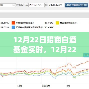12月22日招商白酒基金實時走勢分析與投資洞察，洞悉白酒行業(yè)最新動態(tài)及投資機會