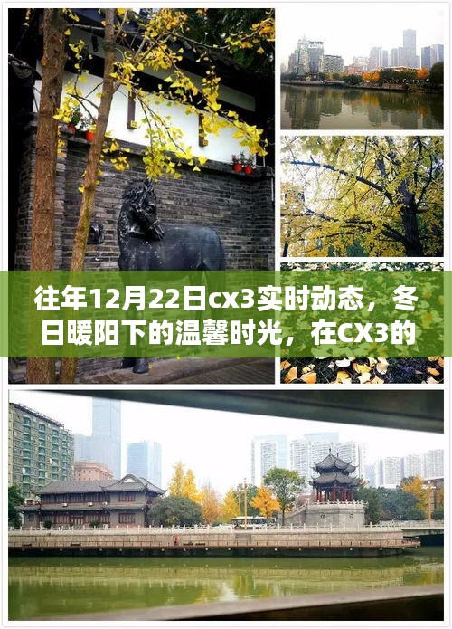 冬日暖陽下的CX3實時動態(tài)，找尋家的溫馨與愛的力量
