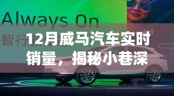 揭秘威馬汽車銷量背后的秘密故事，小巷深處的風景與隱藏式特色小店，實時銷量分析十二月篇