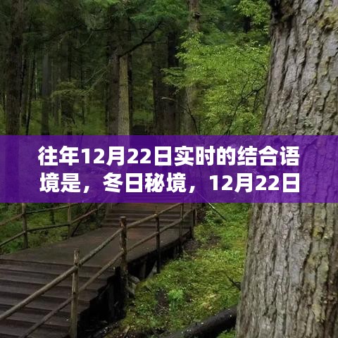 冬日秘境，與自然共舞的日子，12月22日的魔法時刻