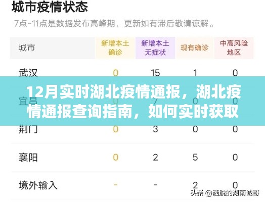 湖北疫情實(shí)時(shí)通報(bào)指南，初學(xué)者與進(jìn)階用戶查詢指南及獲取最新通報(bào)信息的方法