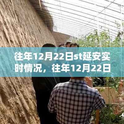 往年12月22日ST延安實時情況詳解，掌握攻略，輕松完成任務！