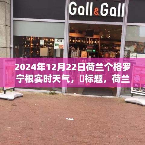 荷蘭格羅寧根實時天氣探索，追尋自然美景與心靈寧靜的奇妙之旅（2024年12月22日）