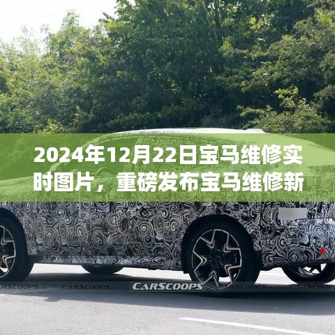 重磅發(fā)布，寶馬維修新紀元實時圖片體驗，領略高科技維修的魅力（附時間戳）