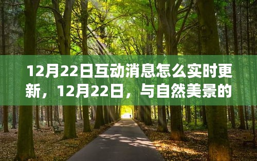 與自然美景的實(shí)時(shí)互動(dòng)之旅，如何實(shí)時(shí)更新互動(dòng)消息，追尋內(nèi)心的寧靜與平和在12月22日