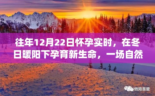 冬日暖陽下的孕育之旅，自然美景探索與孕育新生命紀(jì)實(shí)