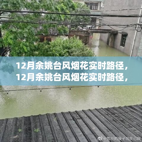 深度解析與前沿觀察，12月余姚臺風(fēng)煙花實(shí)時(shí)路徑追蹤