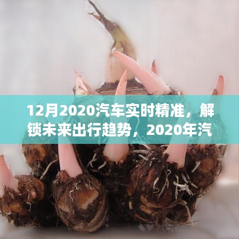 深度洞察與精準預測，2020年汽車市場趨勢及未來出行展望