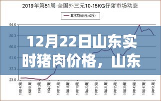 山東豬肉價格動態(tài)，聚焦12月22日市場走勢分析