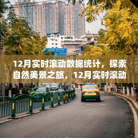 探索自然美景之旅，揭秘12月實(shí)時滾動數(shù)據(jù)統(tǒng)計(jì)背后的寧靜呼喚