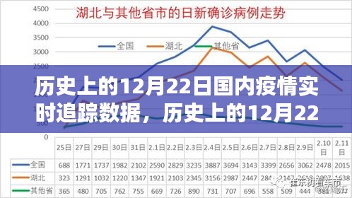 歷史上的12月22日國(guó)內(nèi)疫情實(shí)時(shí)追蹤數(shù)據(jù)詳解，步驟指南與實(shí)時(shí)追蹤報(bào)告