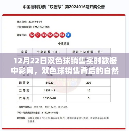 探索雙色球銷售背后的自然之旅，內(nèi)心平靜的奇妙旅程揭秘（實時數(shù)據(jù)解析）