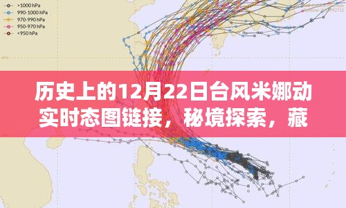臺(tái)風(fēng)米娜動(dòng)態(tài)追蹤與秘境探索，巷陌特色小店奇妙邂逅