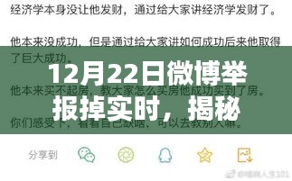 揭秘微博舉報失效事件，網(wǎng)絡(luò)監(jiān)管面臨實時動態(tài)挑戰(zhàn)，12月22日微博遭遇監(jiān)管風(fēng)波