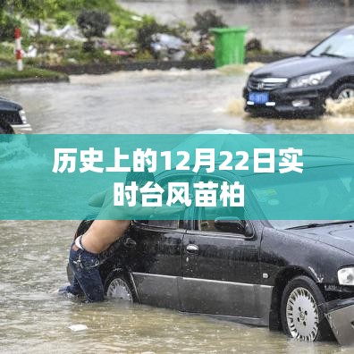 實時臺風苗柏歷史記錄，12月22日情況概述