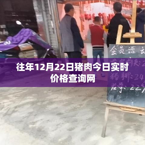 最新豬肉實時價格查詢網(wǎng)，今日更新