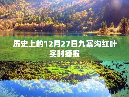 九寨溝紅葉實(shí)時(shí)播報(bào)，歷史12月27日回顧