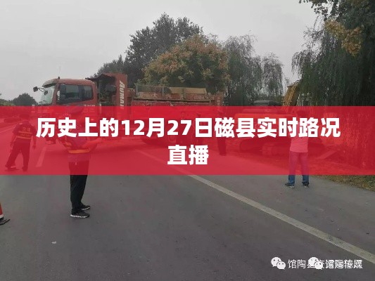 飛鳥(niǎo)依人 第4頁(yè)