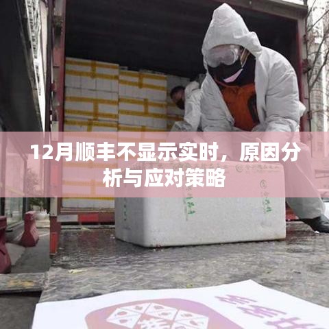 順豐快遞實(shí)時(shí)信息缺失，原因解析與應(yīng)對方案