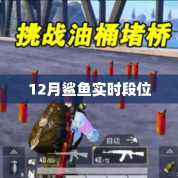 鯊魚實時段位更新，揭秘12月排行榜，符合字數(shù)要求，簡潔明了，能夠準確概括您提供的內(nèi)容，有利于在百度上被用戶搜索到。