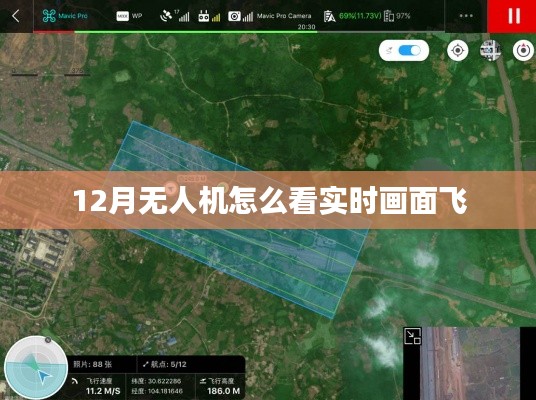 無(wú)人機(jī)實(shí)時(shí)畫(huà)面飛行觀看攻略