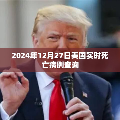美國(guó)實(shí)時(shí)死亡病例查詢（截至2024年12月27日）